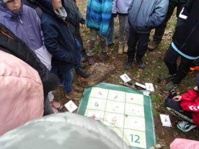 Foto des Albums: Waldolympiade 2024