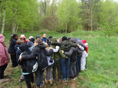 Foto des Albums: Waldolympiade 2024
