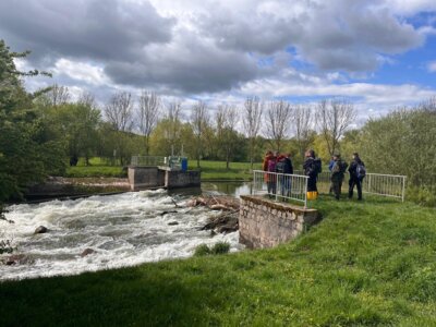 Gew&auml;sserschau im Bereich Br&uuml;cken - Wehr 