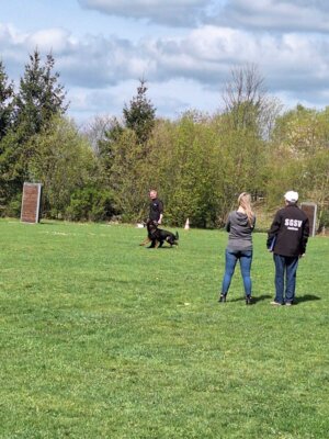Foto des Albums: Vereinsprüfung 13.04.2024