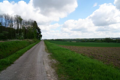 Am Horizont Hannover  (Bild vergr&ouml;&szlig;ern)