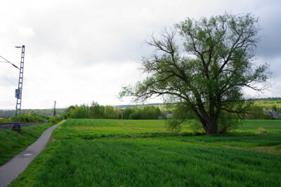 Egestorf - Hinter der Bahn  (Bild vergr&ouml;&szlig;ern)