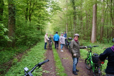 Gro&szlig;es Holz  (Bild vergr&ouml;&szlig;ern)