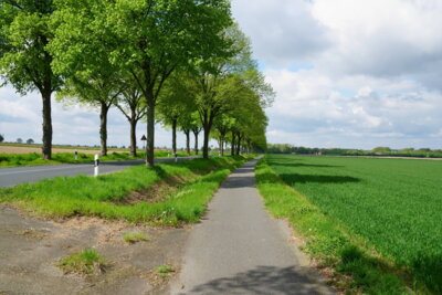 Radweg nach Lenthe  (Bild vergr&ouml;&szlig;ern)