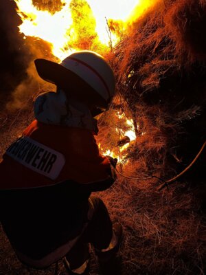 Foto des Albums: Osterfeuer 2024