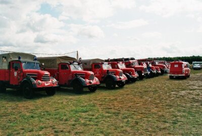 Foto des Albums: Fire Save Days Treffen in Finowfurt 2009 (28. 10. 2009)