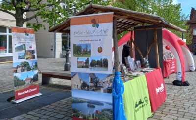 Foto des Albums: Die Prignitz radelt an - nach Wittstock (20.04.2024)