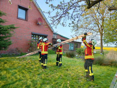 Foto des Albums: Alarmübung: Rauchentwicklung aus Abrisshaus, Menschenleben in Gefahr