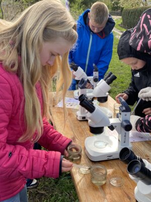 Foto des Albums: LAV MV Mobil - Gewässer erleben