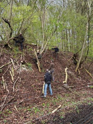 Foto des Albums: Der Schießstand Baumgarten wird aus  dem Winterschlaf geholt (23. 04. 2024)