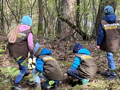Konzentriert-bei-der-Arbeit1 