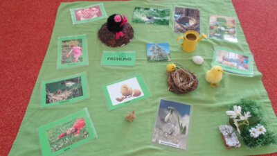 Wir lernen viel &uuml;ber die Jahreszeit "Fr&uuml;hling".  (Bild vergr&ouml;&szlig;ern)