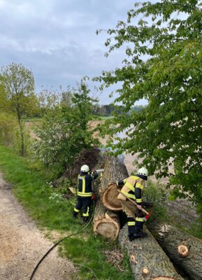Foto des Albums: Einsatz 10/2024