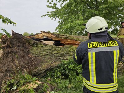 Foto des Albums: Einsatz 10/2024