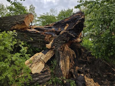 Foto des Albums: Einsatz 10/2024