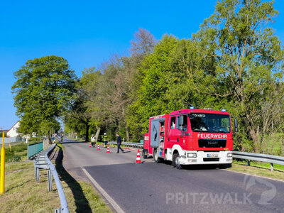 Foto des Albums: Stadtausbildungstag mit zwei Einsatz-Szenarien gemeistert
