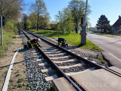 Foto des Albums: Stadtausbildungstag mit zwei Einsatz-Szenarien gemeistert