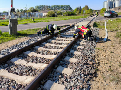 Foto des Albums: Stadtausbildungstag mit zwei Einsatz-Szenarien gemeistert