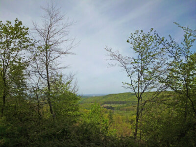 Am Horizont: Hildesheim  (Bild vergr&ouml;&szlig;ern)