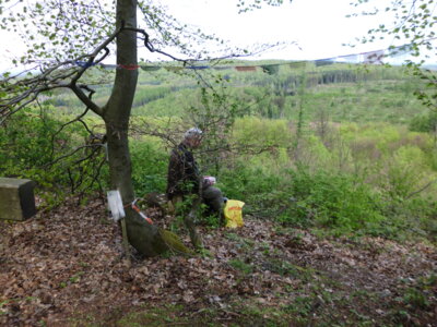 Rast  (Bild vergr&ouml;&szlig;ern)