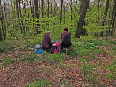 Foto des Albums: Griesberg, Gipfelkreuz und Fachwerkhäuser