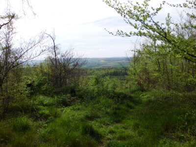 Weitblick  (Bild vergr&ouml;&szlig;ern)