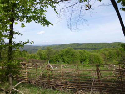 Aussicht  (Bild vergr&ouml;&szlig;ern)