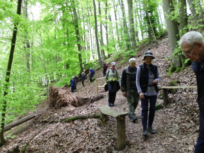 Wolfstal  (Bild vergr&ouml;&szlig;ern)