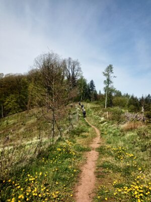 Schmaler Pfad auf dem Bergkamm  (Bild vergr&ouml;&szlig;ern)