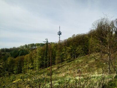 Fernmeldeturm Sibbesse  (Bild vergr&ouml;&szlig;ern)