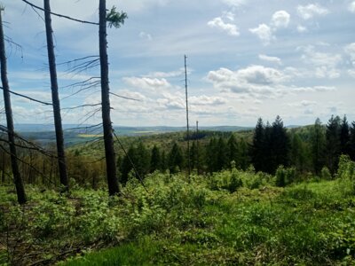 Weitblick  (Bild vergr&ouml;&szlig;ern)