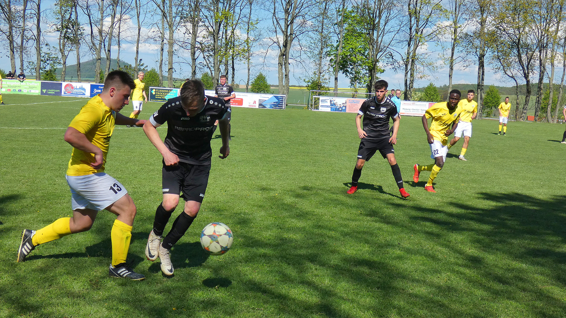 Bild der Galerie