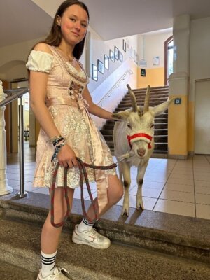 Foto des Albums: Teddys Schul-Blog April 2024 - Fotos