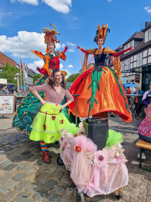 Foto des Albums: Sonniges Frühlingserwachen lockte Hunderte in die Innenstadt