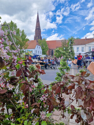 Foto des Albums: Sonniges Frühlingserwachen lockte Hunderte in die Innenstadt