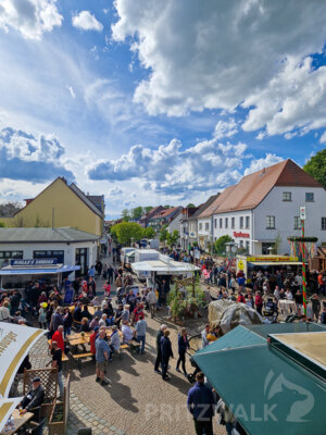 Foto des Albums: Sonniges Frühlingserwachen lockte Hunderte in die Innenstadt