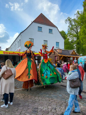 Foto des Albums: Sonniges Frühlingserwachen lockte Hunderte in die Innenstadt