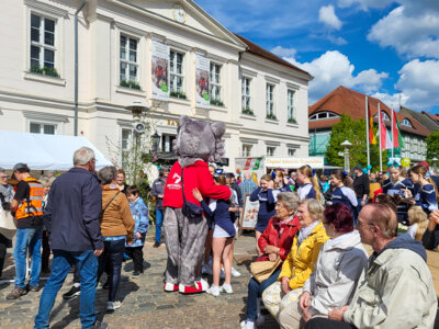 Foto des Albums: Sonniges Frühlingserwachen lockte Hunderte in die Innenstadt