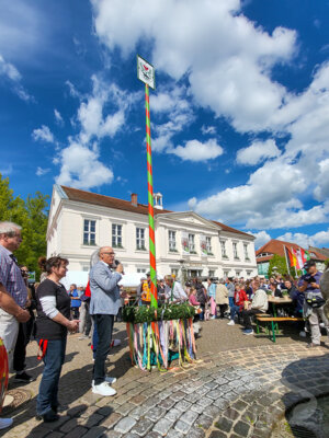 Foto des Albums: Sonniges Frühlingserwachen lockte Hunderte in die Innenstadt