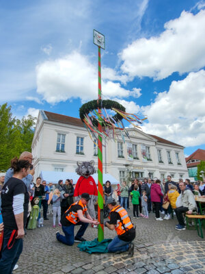 Foto des Albums: Sonniges Frühlingserwachen lockte Hunderte in die Innenstadt