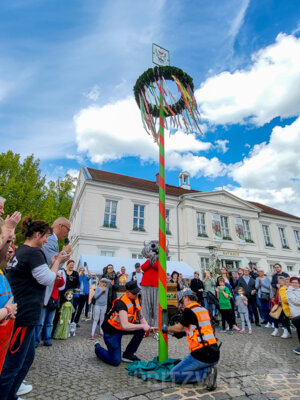 Foto des Albums: Sonniges Frühlingserwachen lockte Hunderte in die Innenstadt