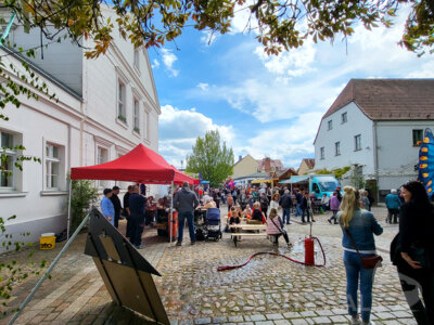 Foto des Albums: Sonniges Frühlingserwachen lockte Hunderte in die Innenstadt