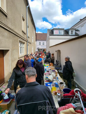 Foto des Albums: Sonniges Frühlingserwachen lockte Hunderte in die Innenstadt