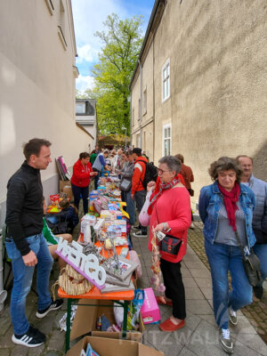 Foto des Albums: Sonniges Frühlingserwachen lockte Hunderte in die Innenstadt