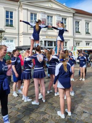 Foto des Albums: Sonniges Frühlingserwachen lockte Hunderte in die Innenstadt