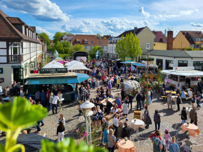 Foto des Albums: Sonniges Frühlingserwachen lockte Hunderte in die Innenstadt
