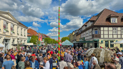 Foto des Albums: Sonniges Frühlingserwachen lockte Hunderte in die Innenstadt