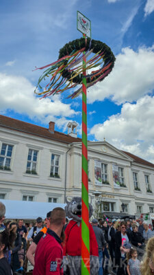 Foto des Albums: Sonniges Frühlingserwachen lockte Hunderte in die Innenstadt