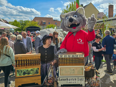 Foto des Albums: Sonniges Frühlingserwachen lockte Hunderte in die Innenstadt