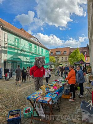 Foto des Albums: Sonniges Frühlingserwachen lockte Hunderte in die Innenstadt